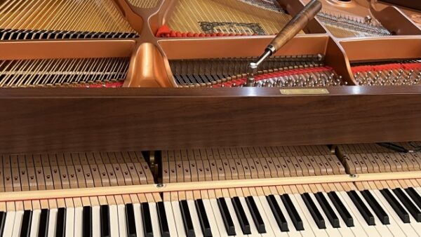 「移動でピアノの音が狂う」は半分勘違い！調律を少し待つべき理由と正しい設置場所【調律師が解説】
